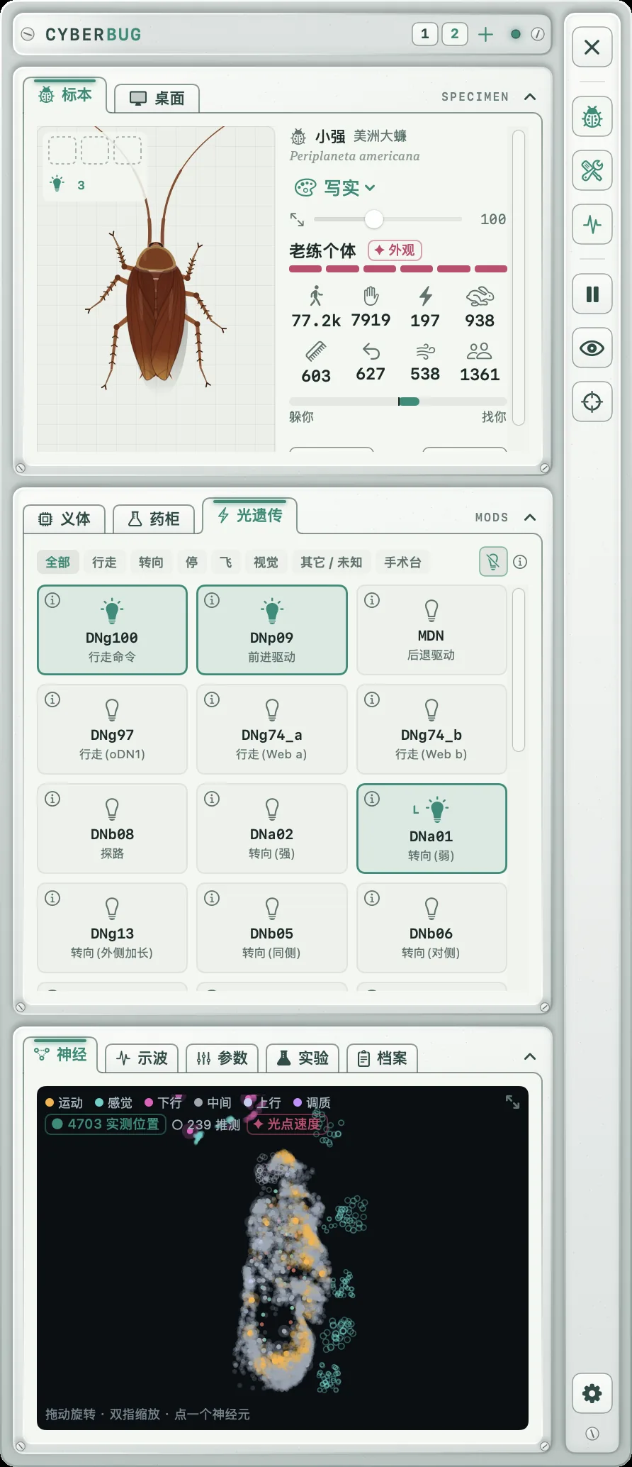 赛博小强工作台:标本、光遗传卡片、神经图